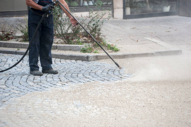 Best Pre-Holiday Cleaning  in Easton, CA